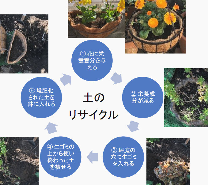 簡単 実践中 鉢 プランターの土を 再生 坪があno 野菜ごみで坪庭ガーデニング