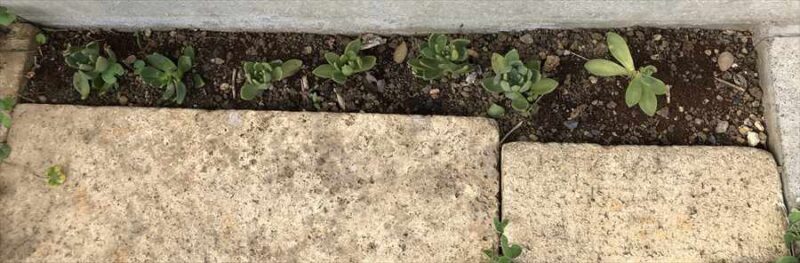 画像に alt 属性が指定されていません。ファイル名: 230902-155703-IMG_7824_R-800x263.jpg